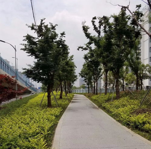 匠心鑄綠韻，昆山石林綠化有限責(zé)任公司參評2017全國風(fēng)景園林工程項目紀實